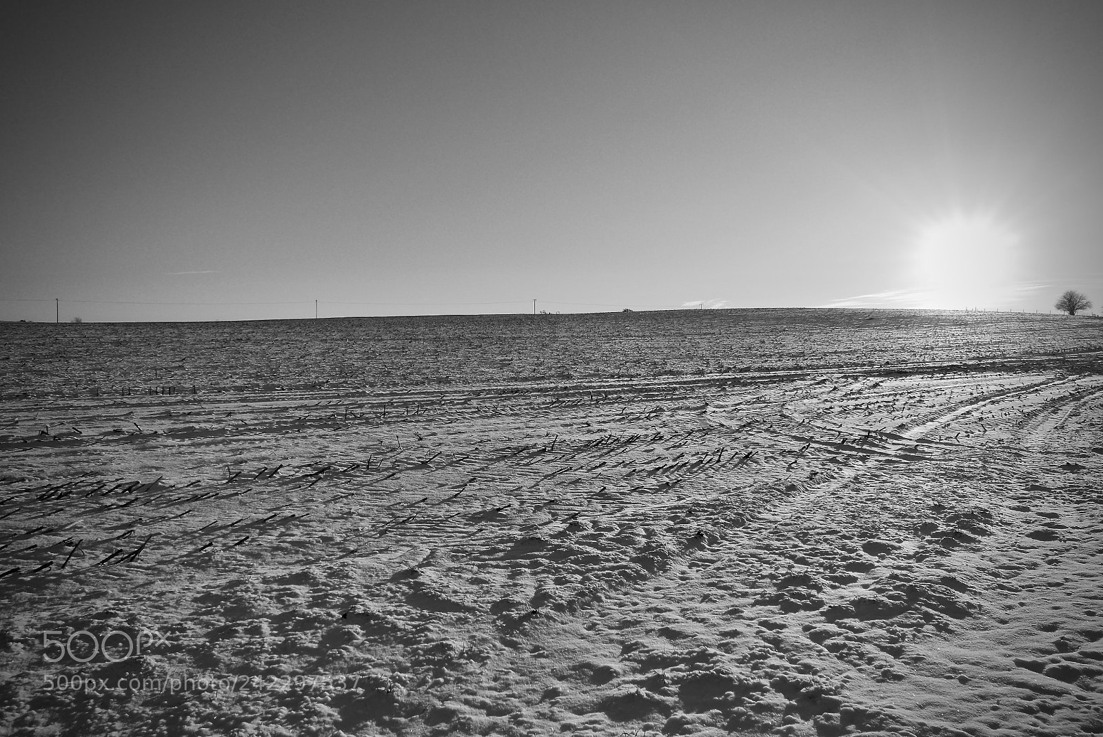 Leica D-Lux (Typ 109) sample photo. After snow photography