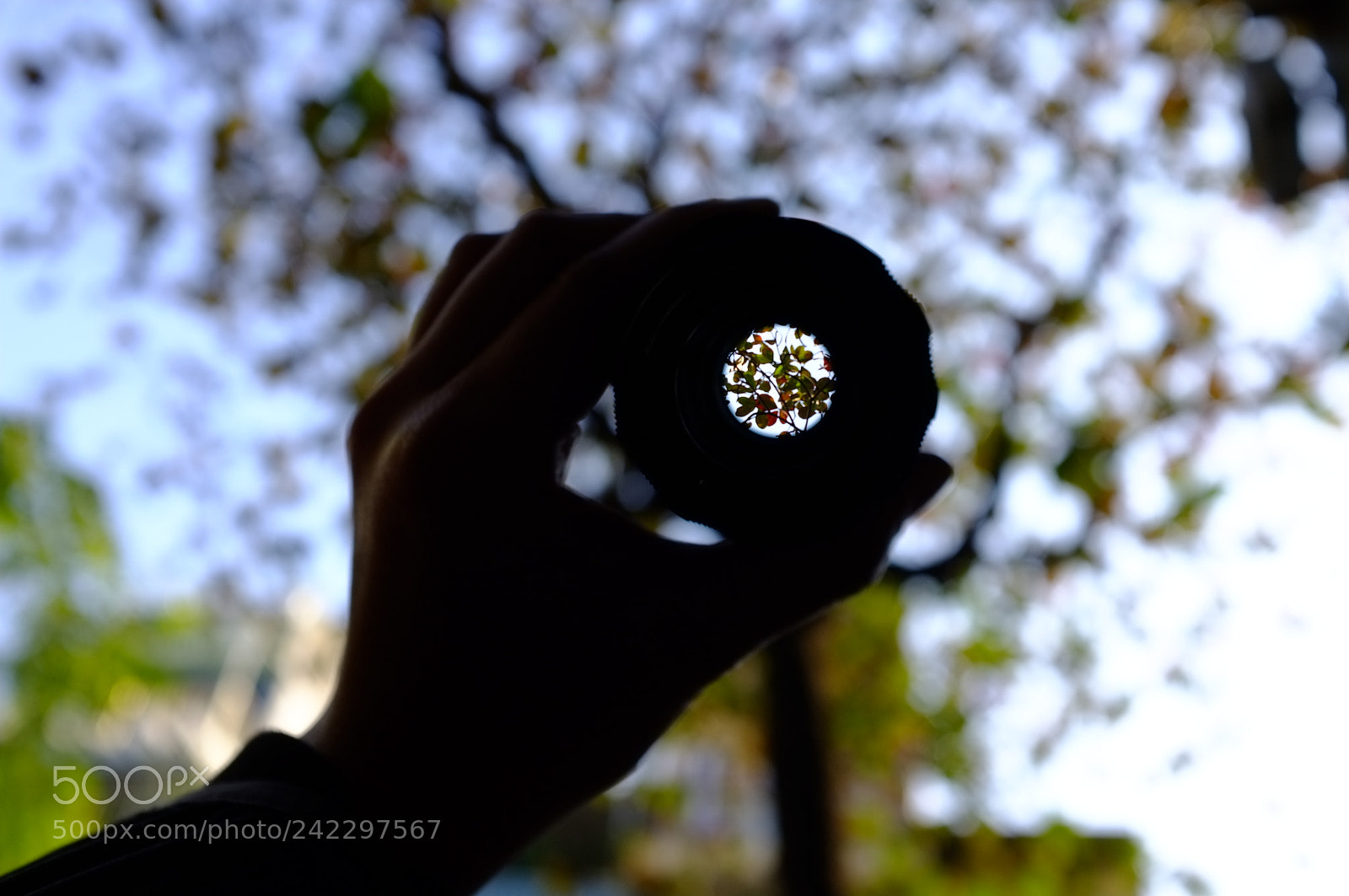 Fujifilm FinePix X100 sample photo. Winter leaf through lens photography