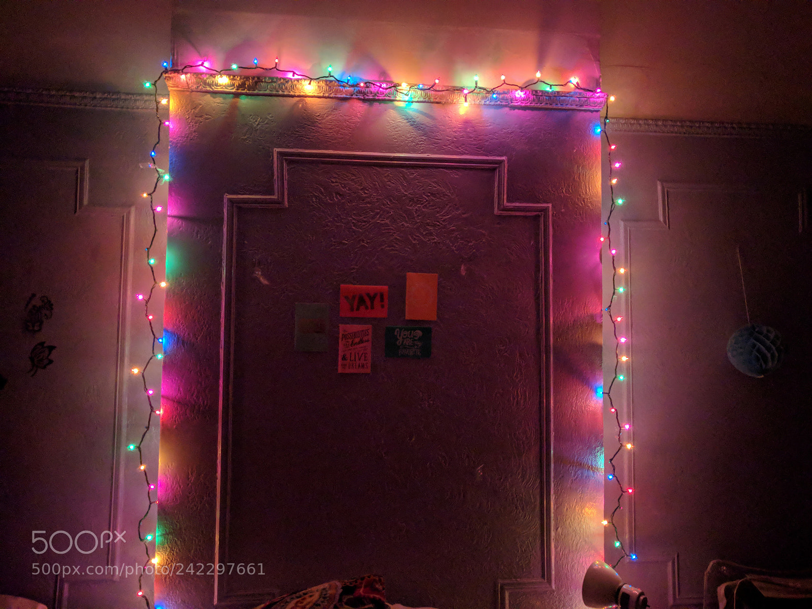 LG Nexus 5X sample photo. Messy life, still glowing photography