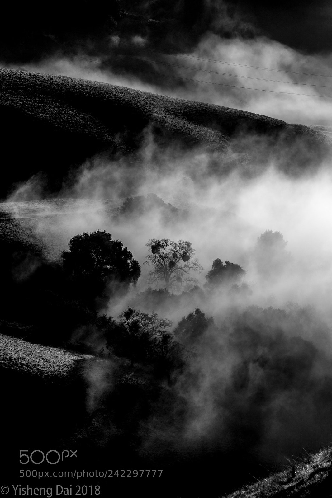 Canon EOS 50D sample photo. Rolling cloud under morning photography