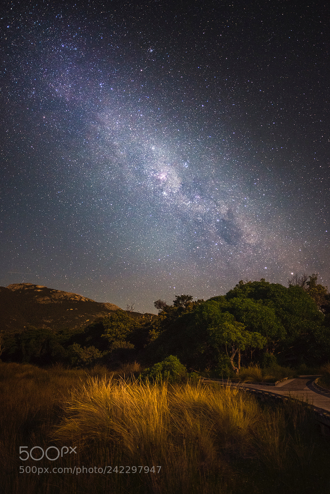 Nikon D810 sample photo. Milky way photography