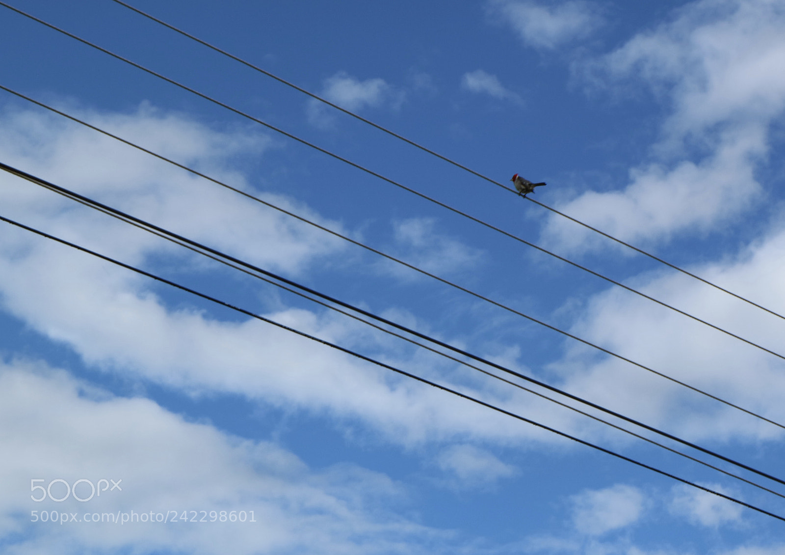 Canon EOS M3 sample photo. Inalcanzable photography