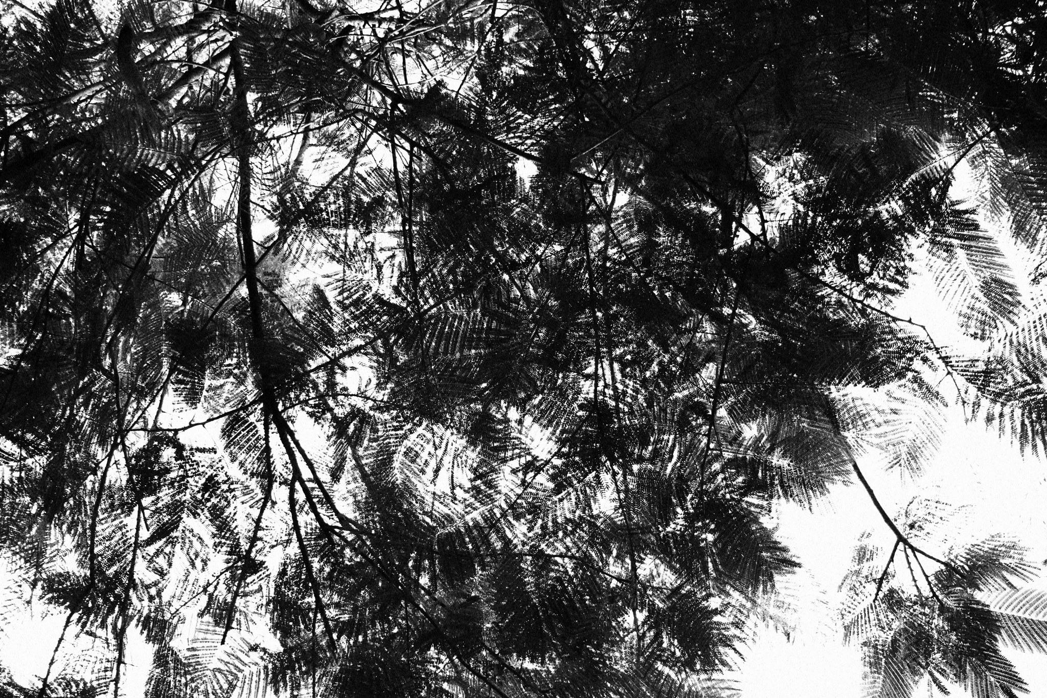 Canon EOS M3 sample photo. Reflejo del alma photography