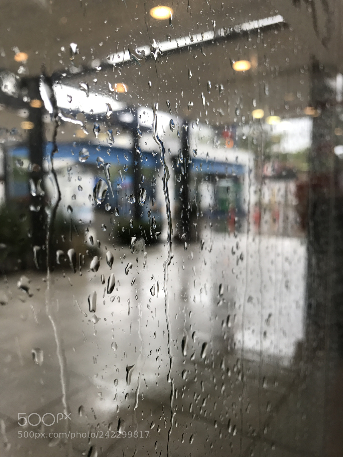 Apple iPhone 7 Plus sample photo. Un buen día photography