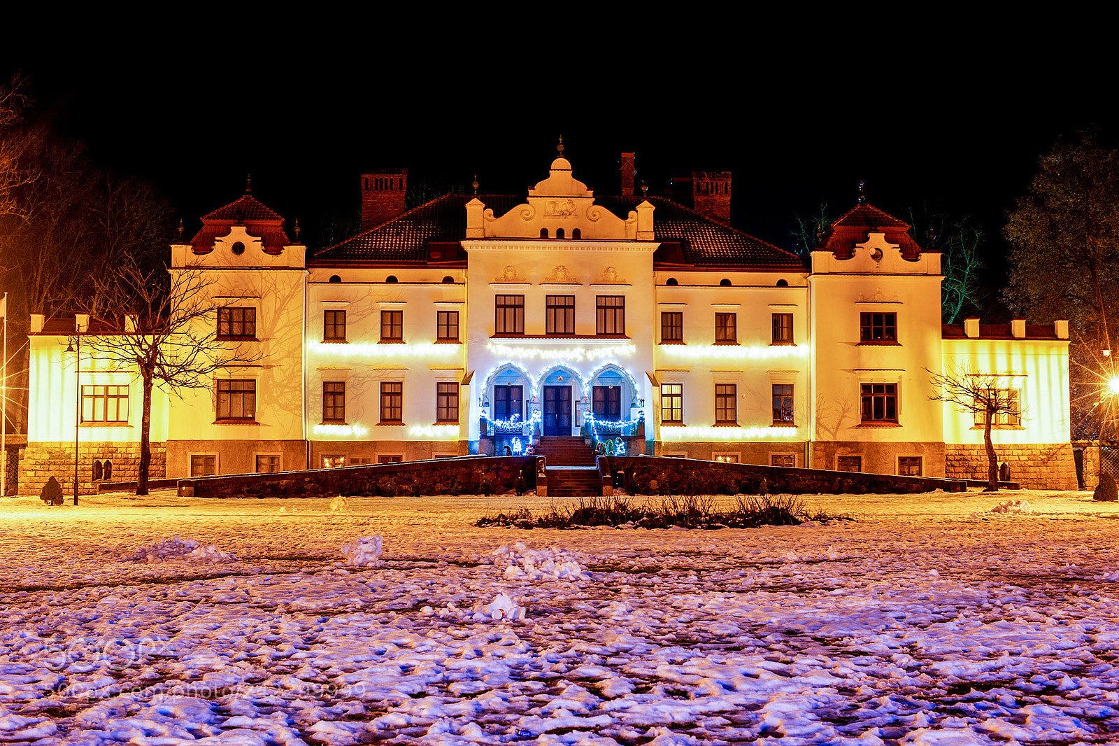 Nikon D3 sample photo. The palace photography
