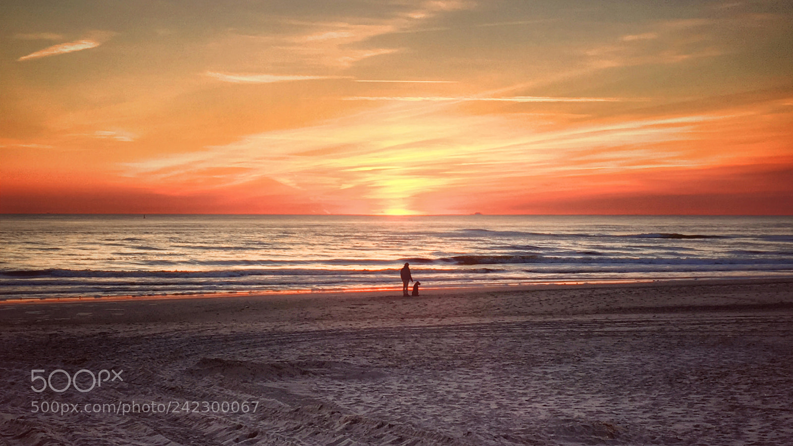 Apple iPhone 6s sample photo. Golden sunset photography