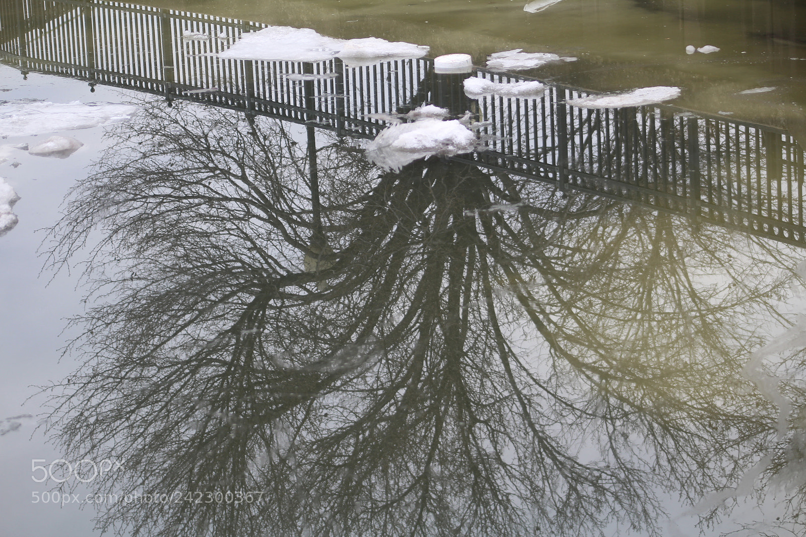 Canon EOS 1300D (EOS Rebel T6 / EOS Kiss X80) + EF75-300mm f/4-5.6 sample photo. Tree reflection in water photography