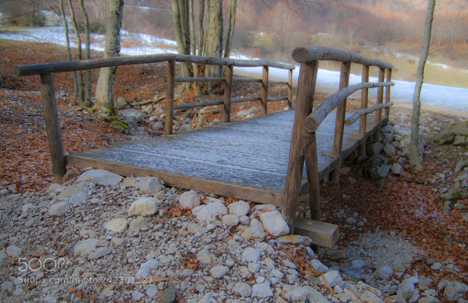 Nikon D300 sample photo. The wodden bridge photography