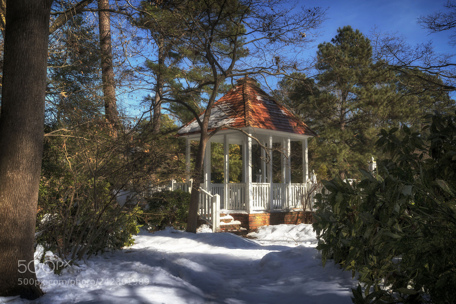 Sony a7R III sample photo. Gazebo in norfolk botanical photography