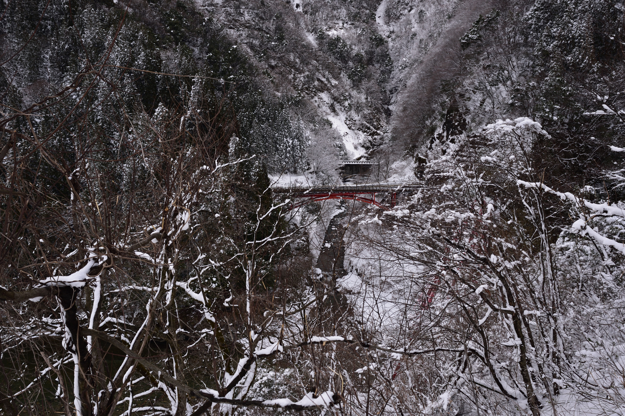 Nikon D750 + Nikon AF-S Nikkor 28mm F1.8G sample photo. 富山宇奈月温泉 photography