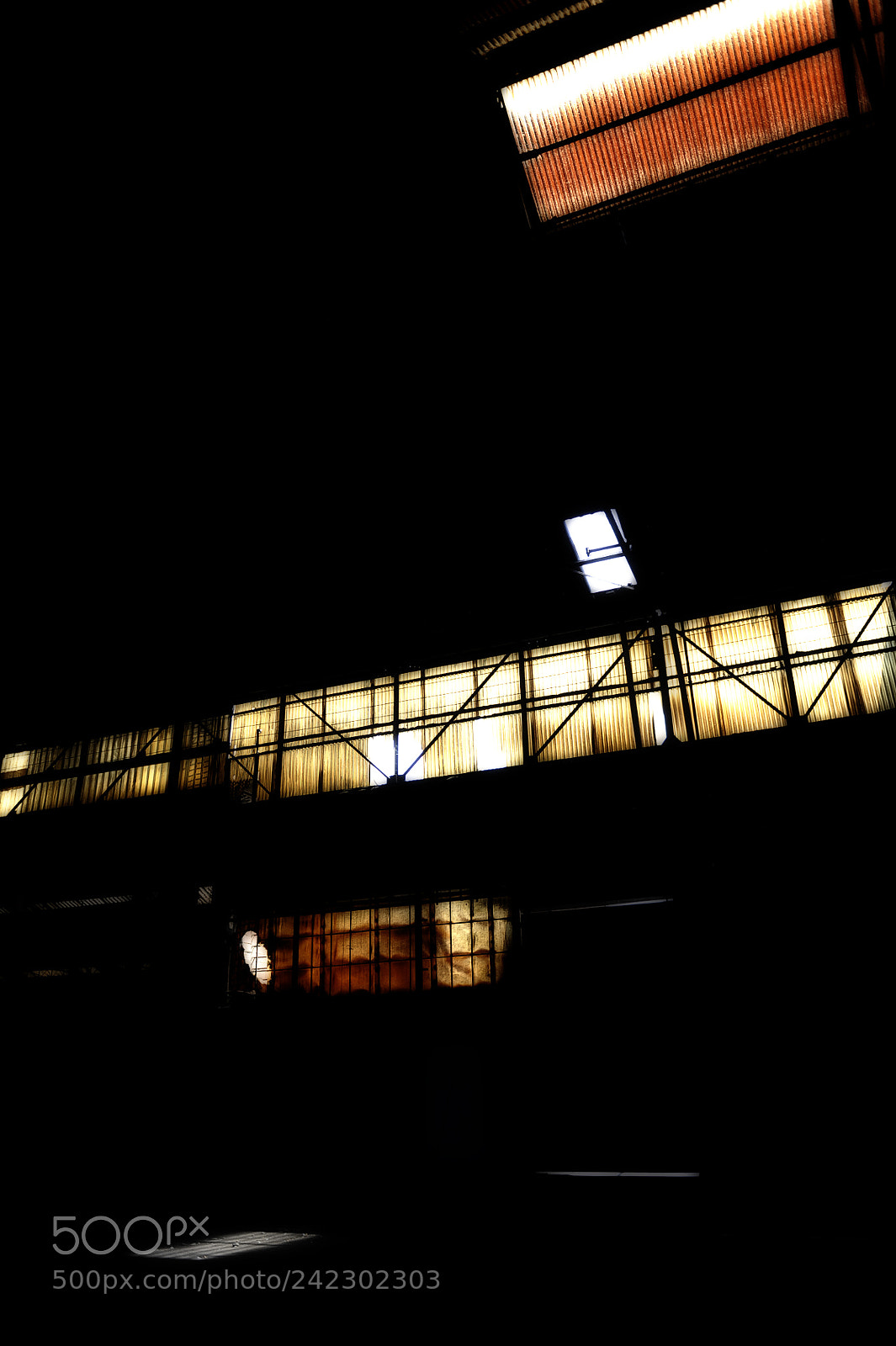 Nikon D3 sample photo. Factor photography