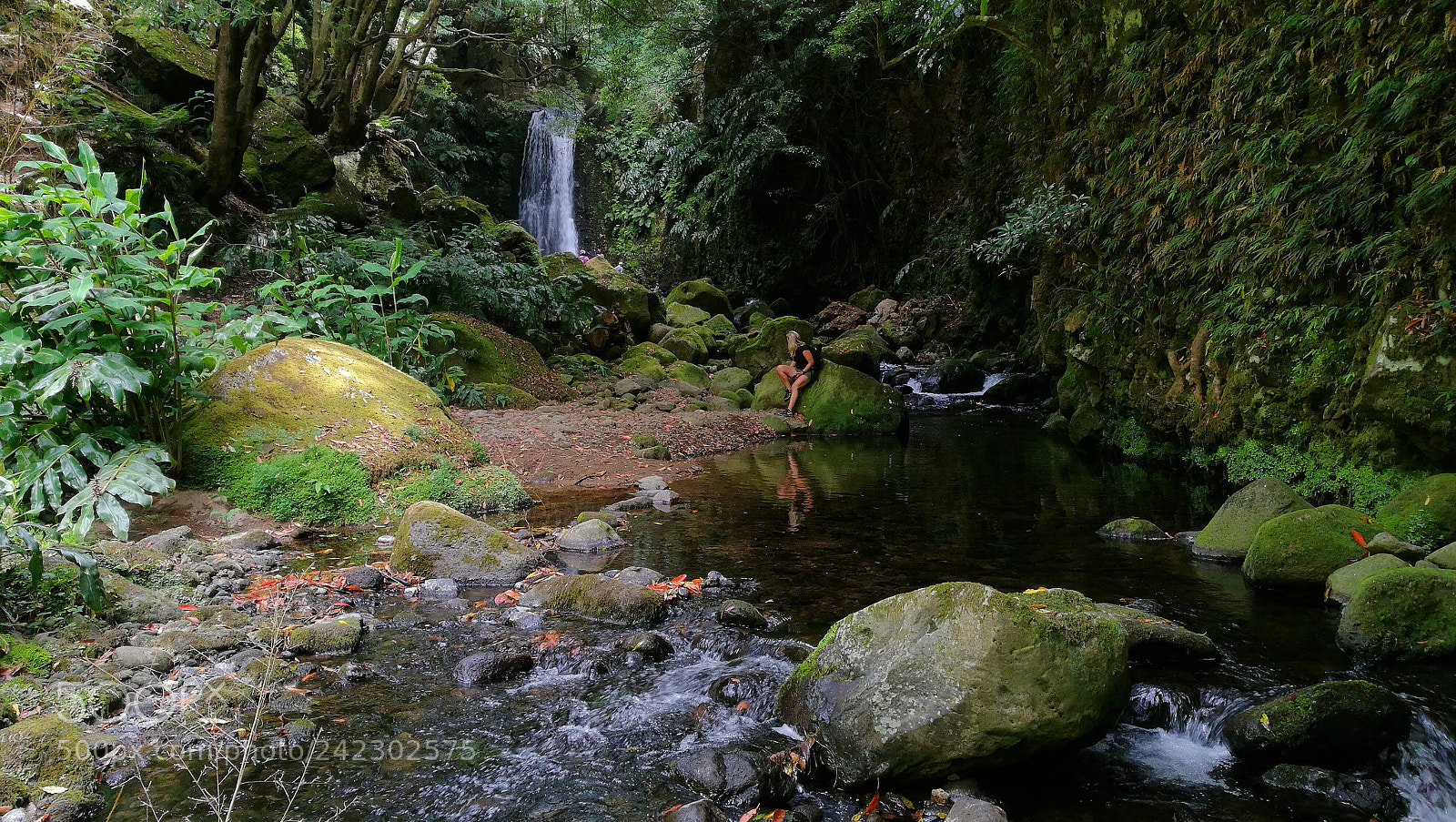 HUAWEI Honor 8 sample photo. Jungle waterfall photography