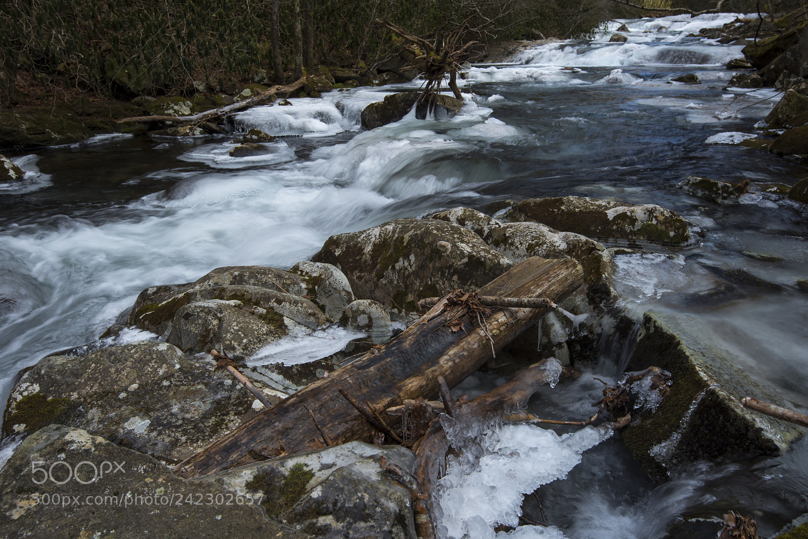 Nikon D750 sample photo. Tellico river in winter photography