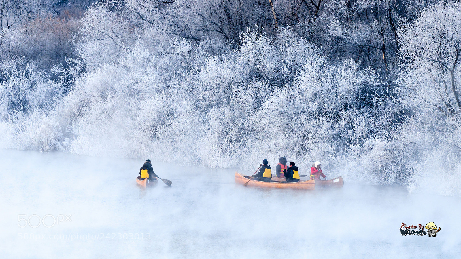 Nikon D800 sample photo. Watching frost on trees photography