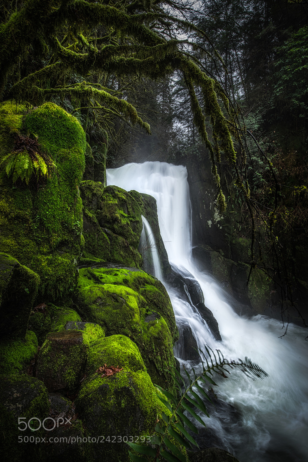 Sony a7R sample photo. Sweet creek falls oregon photography
