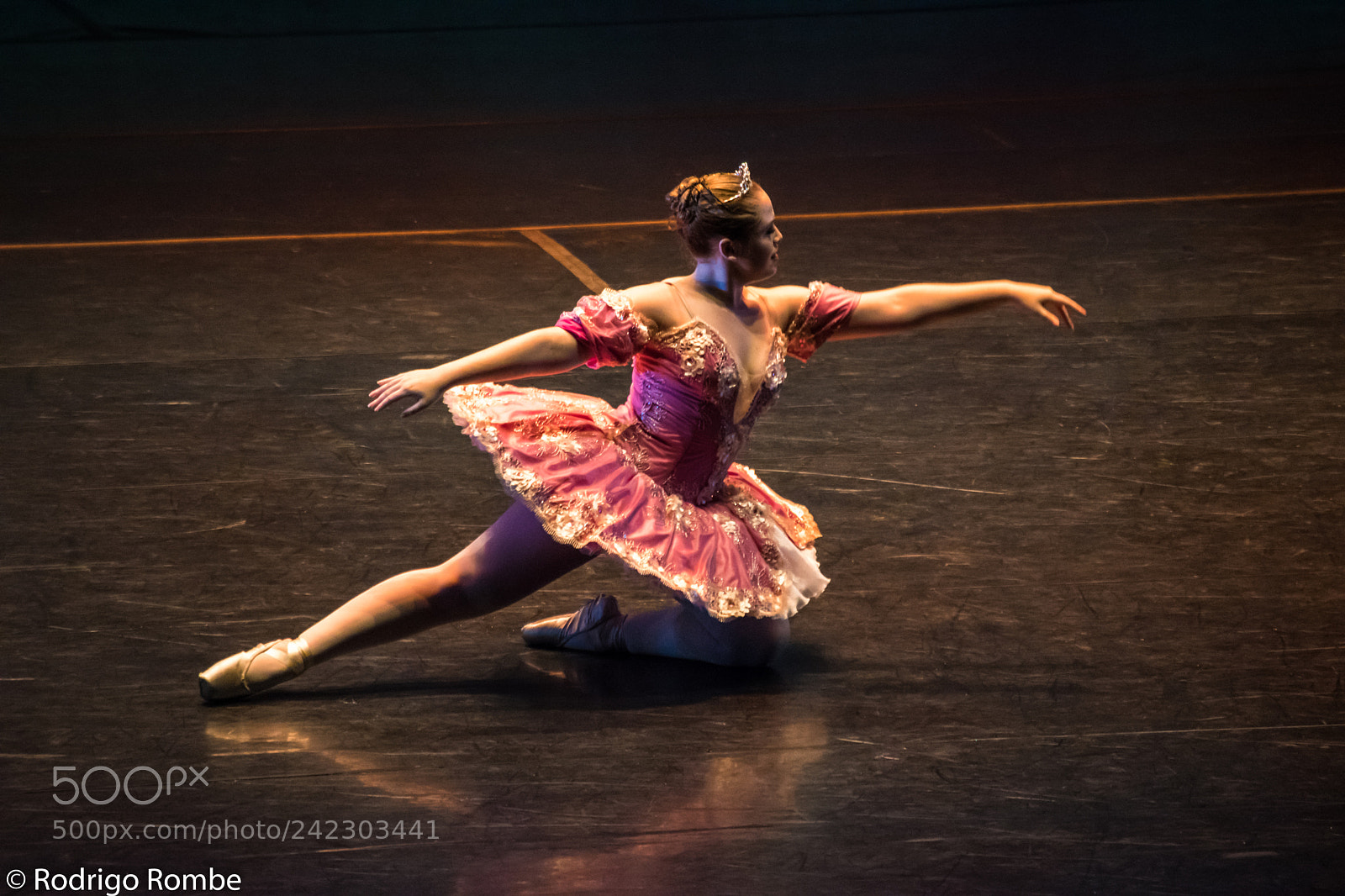 Nikon D5600 sample photo. Rbr photography