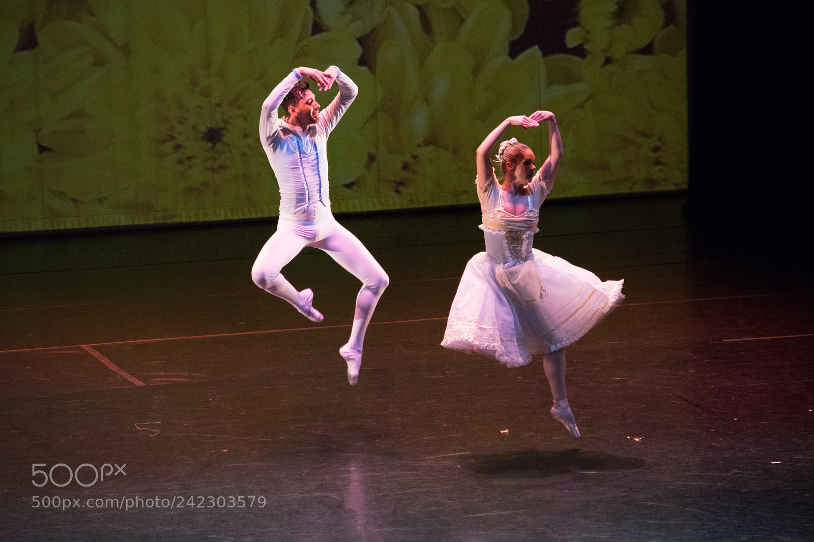 Nikon D5600 sample photo. Rbr photography