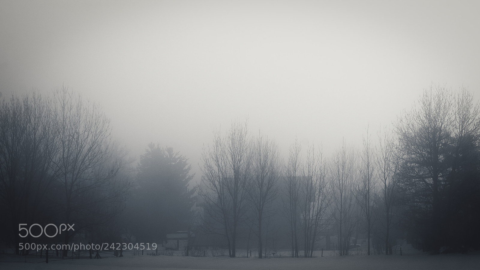 Pentax K-30 sample photo. Foggy photography