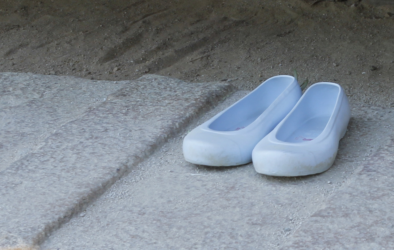 Canon EOS 60D + Canon EF 24-70mm F2.8L USM sample photo. I am waitting for ....... photography