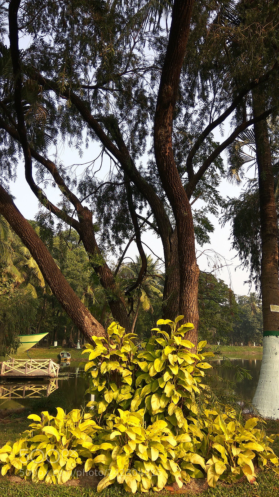 Xiaomi Redmi Note3 sample photo. Morning view near a photography