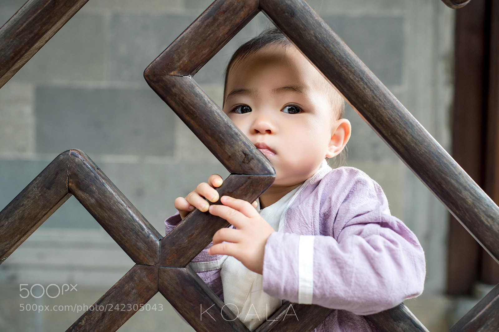 Nikon D4 sample photo. 古风 photography