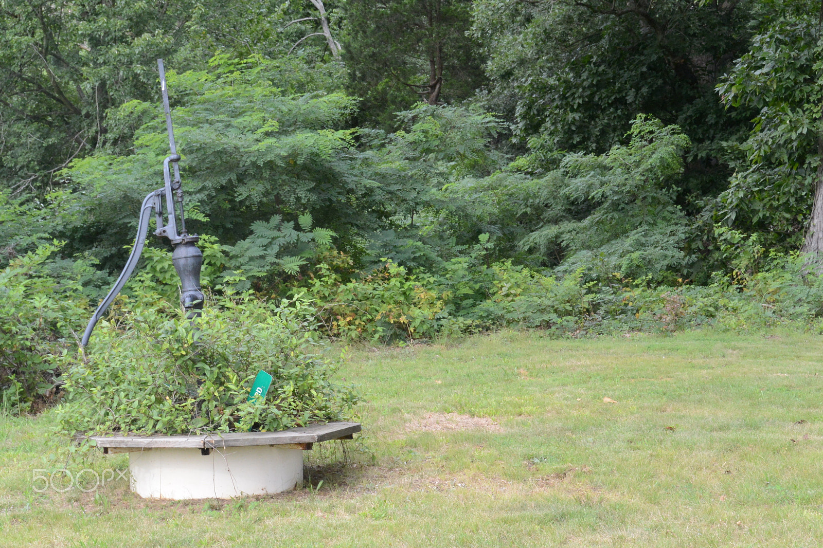 Nikon 1 J3 sample photo. Dsc photography