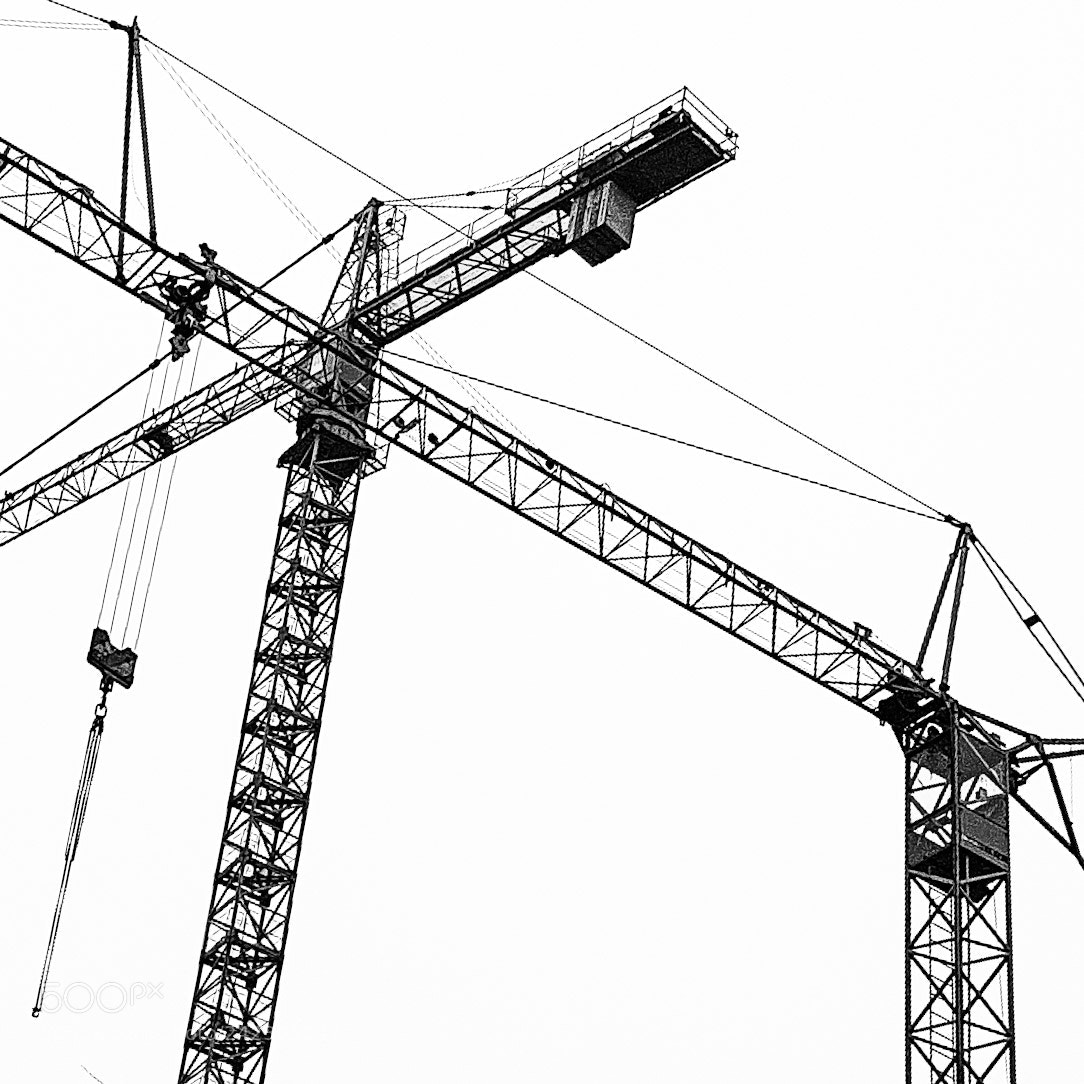 Samsung Galaxy S7 sample photo. Cranes photography