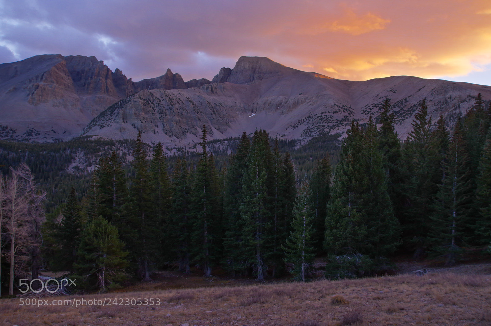 Pentax K-3 sample photo. Fading light photography