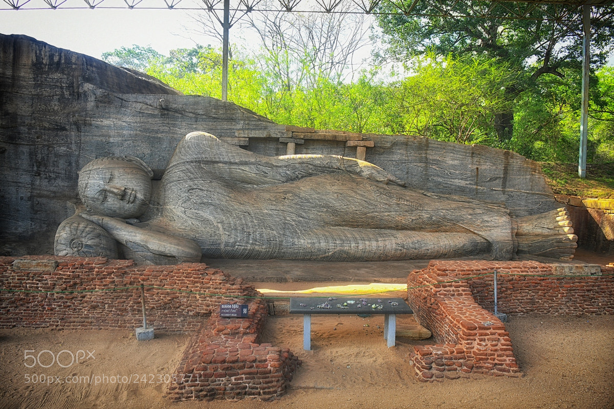 Nikon D500 sample photo. Buddha photography