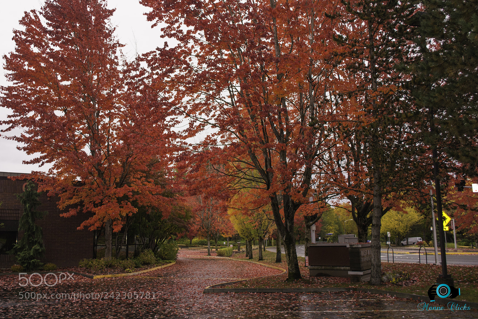Nikon D7100 sample photo. Fall colors photography