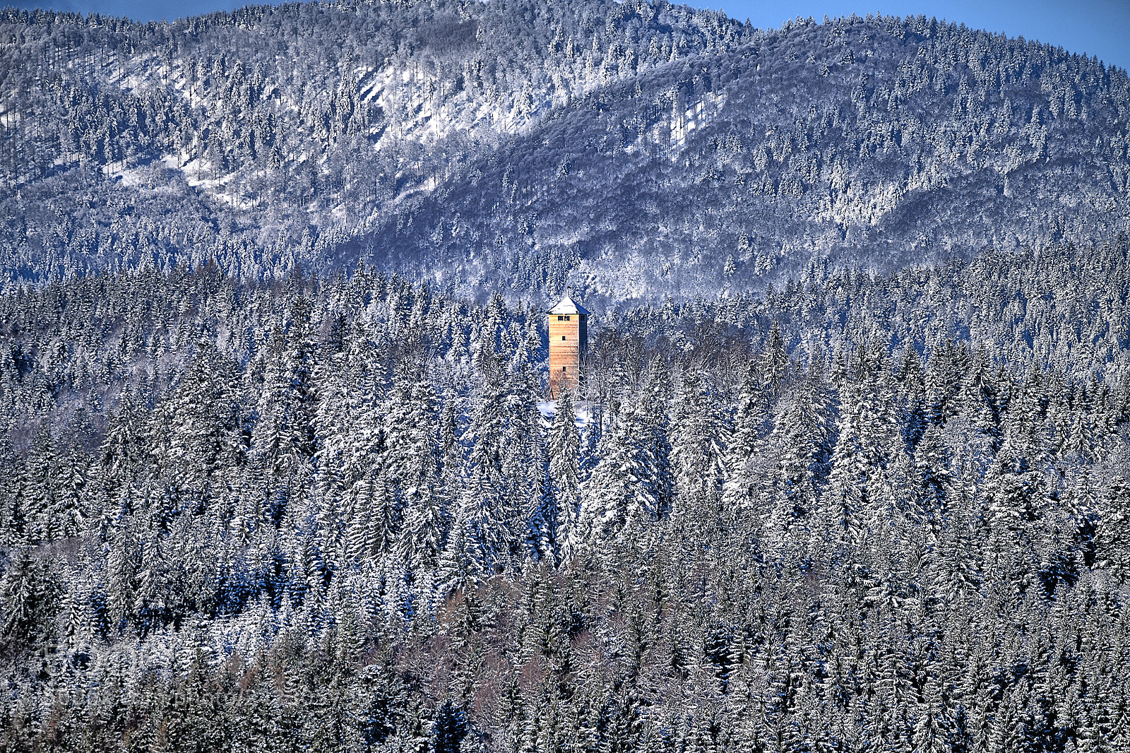Nikon D850 sample photo. Tower inside photography