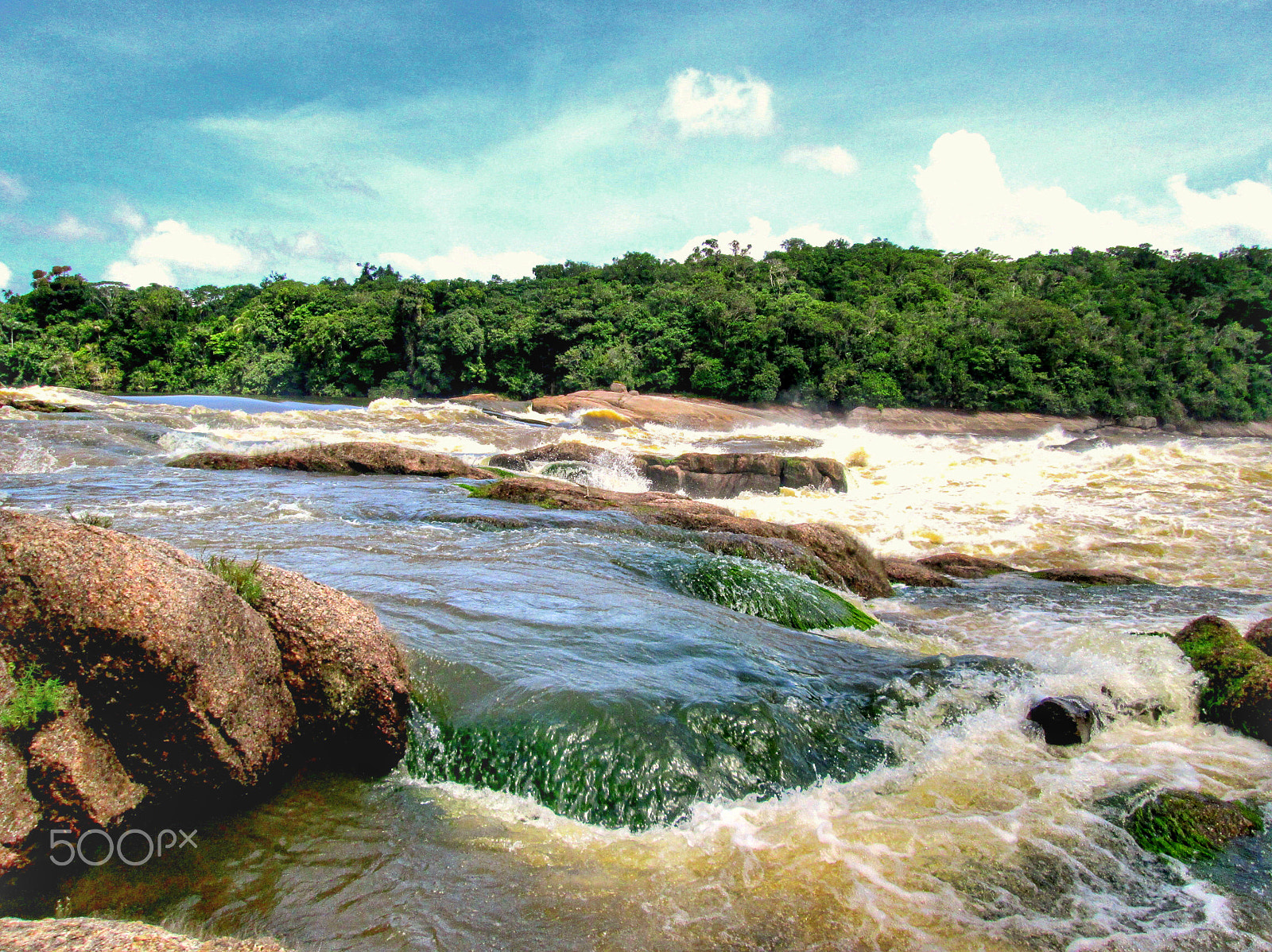 Canon PowerShot A810 sample photo. Rio apaporis amazonas colombia photography
