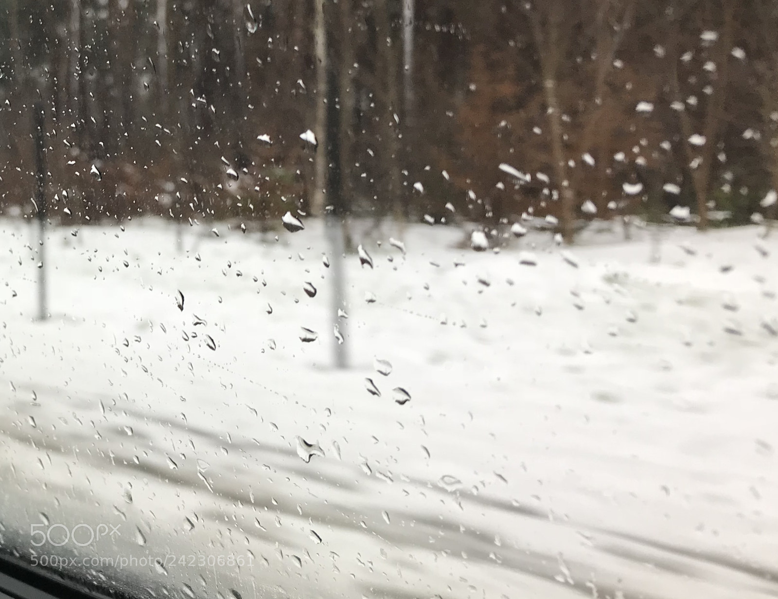 Apple iPhone 7 sample photo. Rain photography