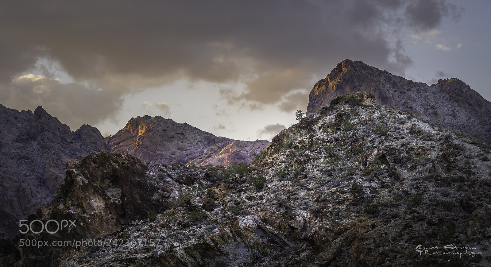 Nikon D4 sample photo. Lonely at the top photography