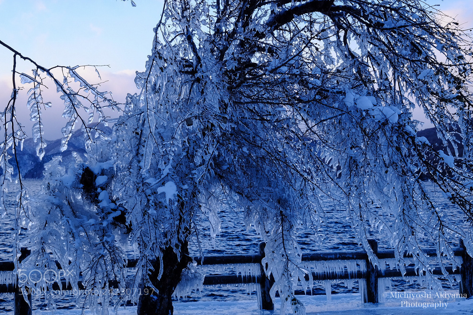 Fujifilm X-T1 sample photo. Ice art photography