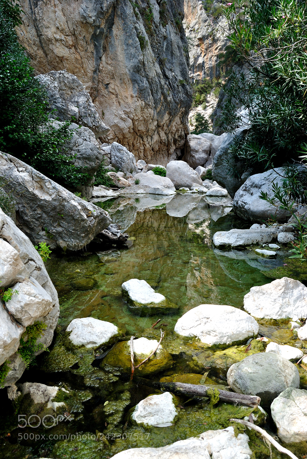 Nikon D3000 sample photo. Gola di gorropu, urzulei photography