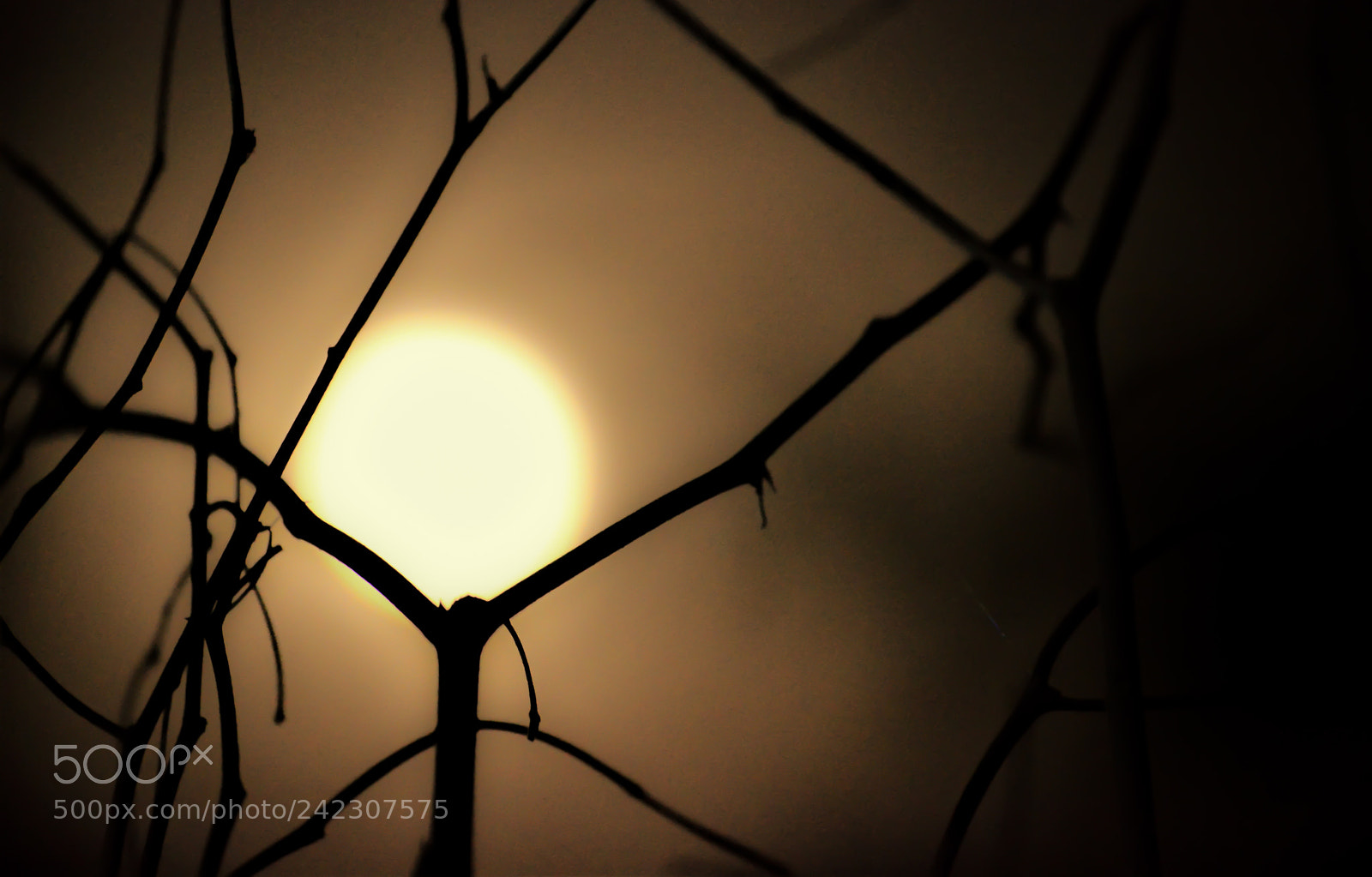 Nikon D3200 sample photo. Moon photography