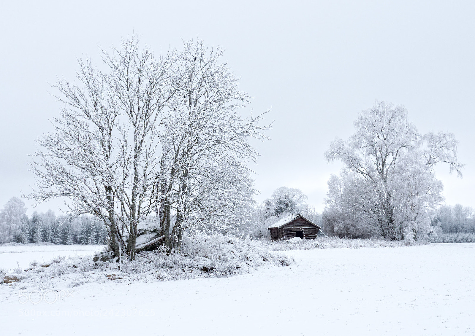 Panasonic Lumix DMC-GX8 sample photo. Landscape in winter photography