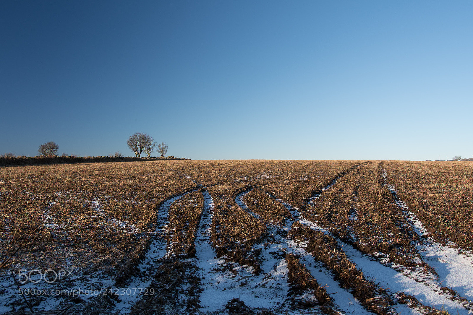 Nikon D500 sample photo. Winter farmland photography