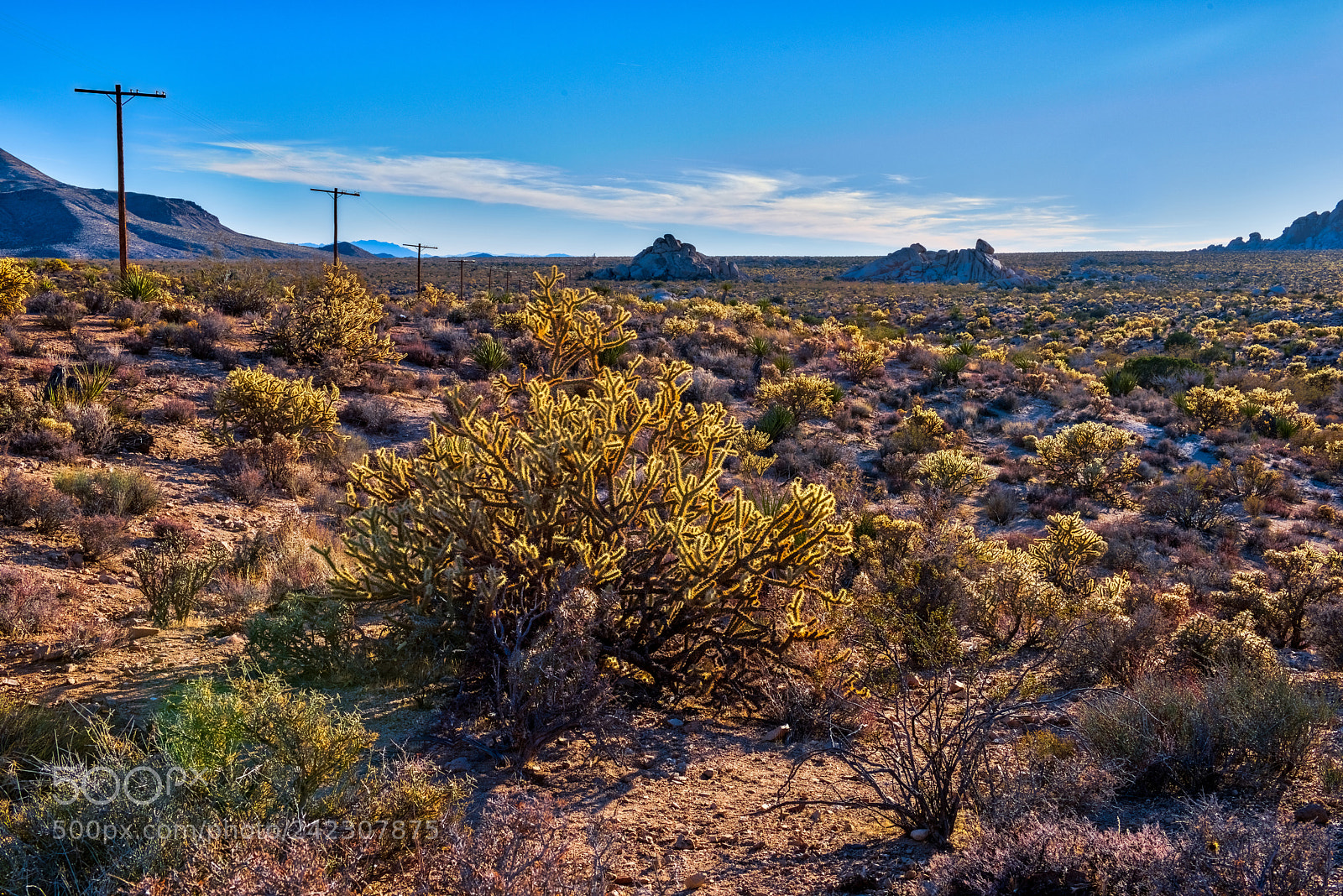 Nikon D810 sample photo. Mojave desert photography