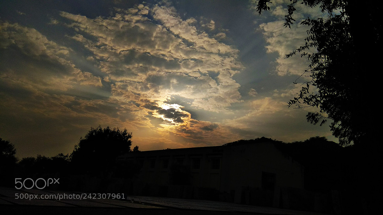 Xiaomi Redmi Note 4 sample photo. Untitled photography
