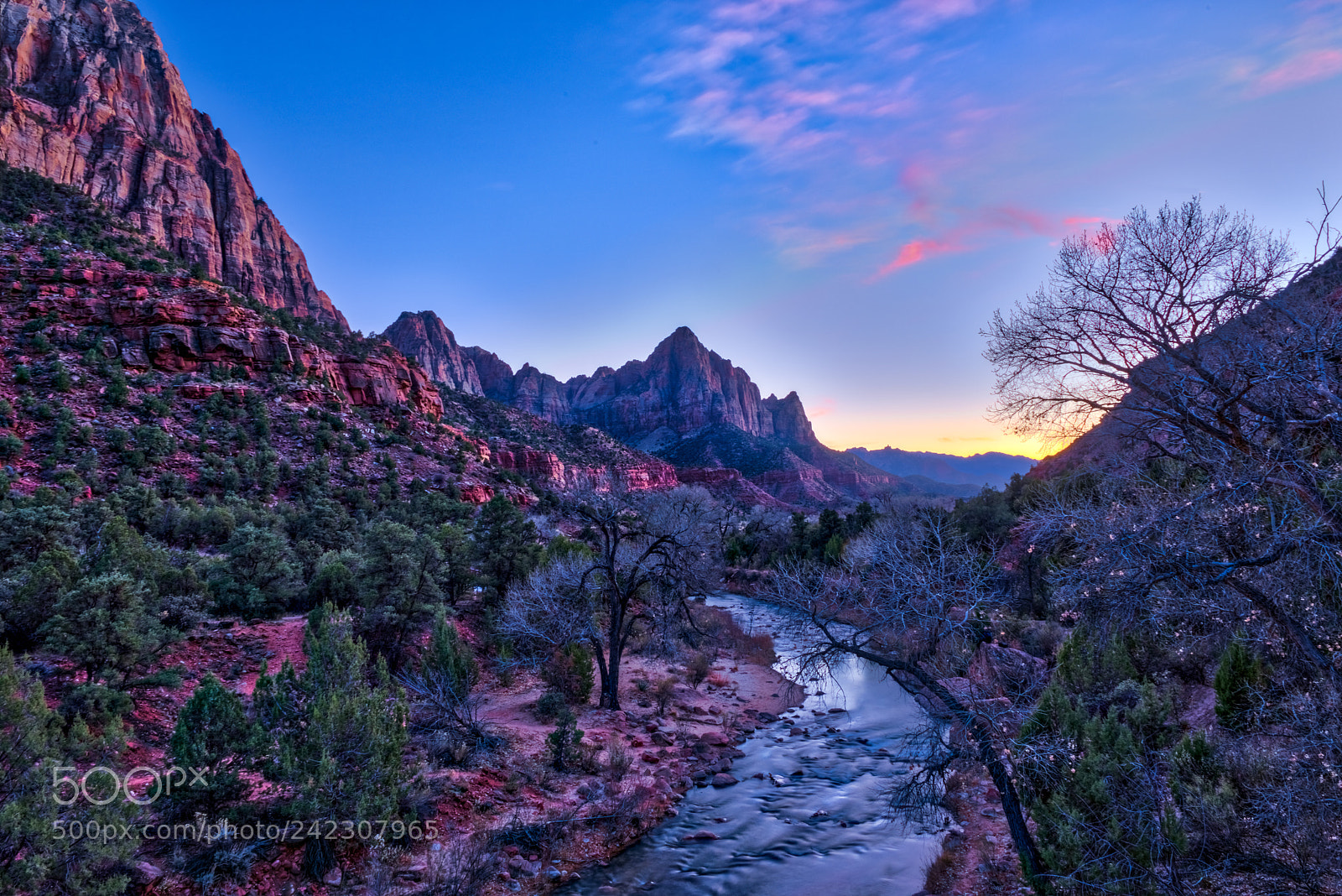 Nikon D810 sample photo. Zion national park photography