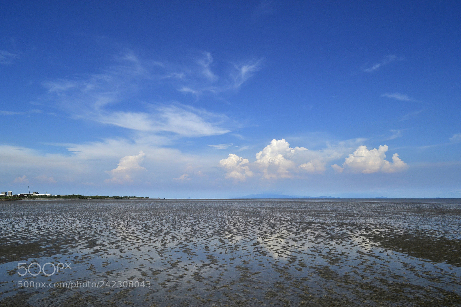 Nikon D3100 sample photo. Sky pk photography