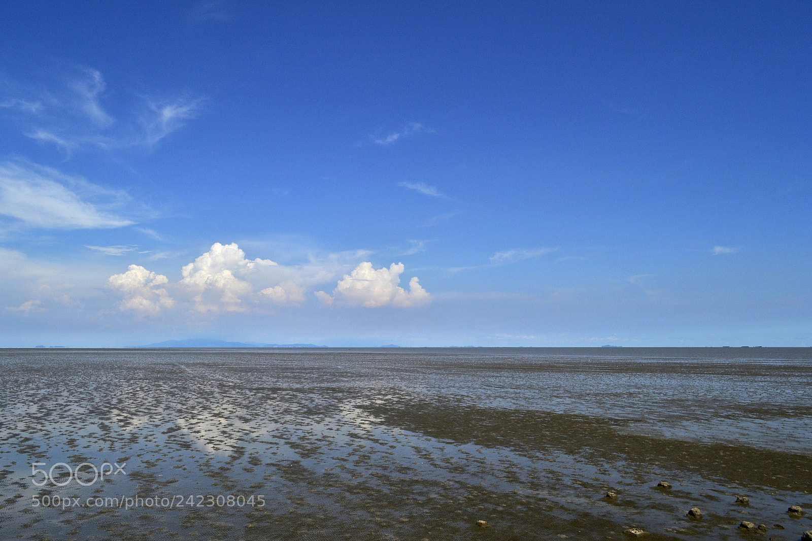 Nikon D3100 sample photo. Sky pk photography