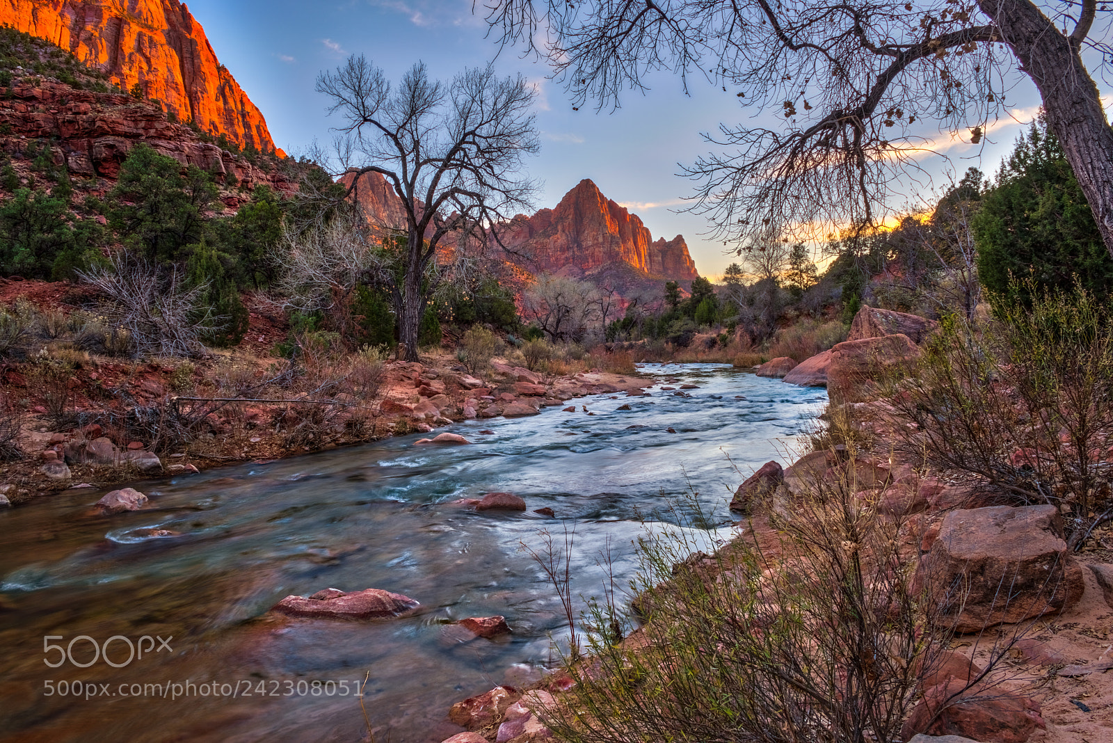Nikon D810 sample photo. Zion national park photography