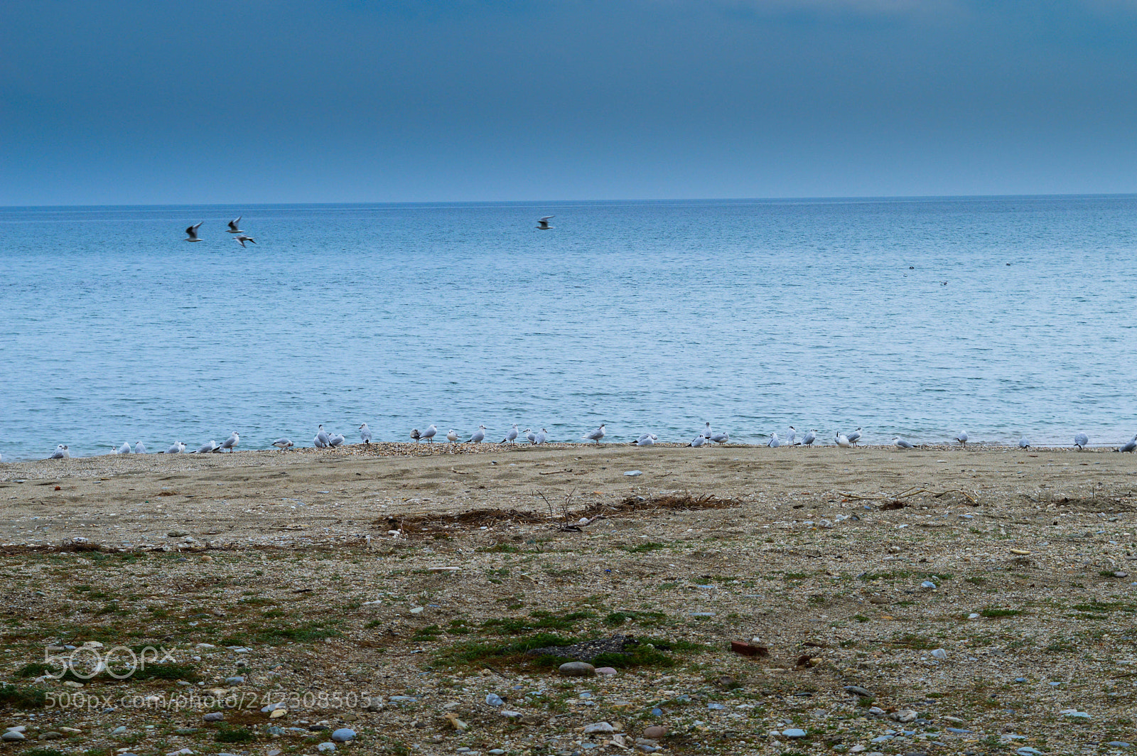 Nikon D3200 sample photo. Calmness photography