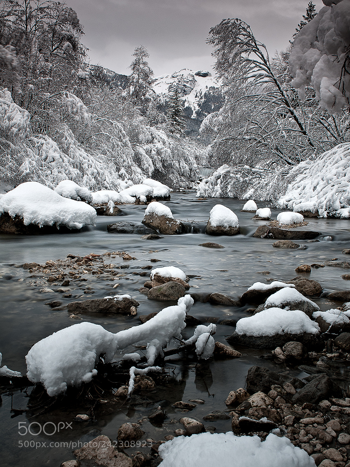 Nikon D300 sample photo. La terra bianca, neve photography