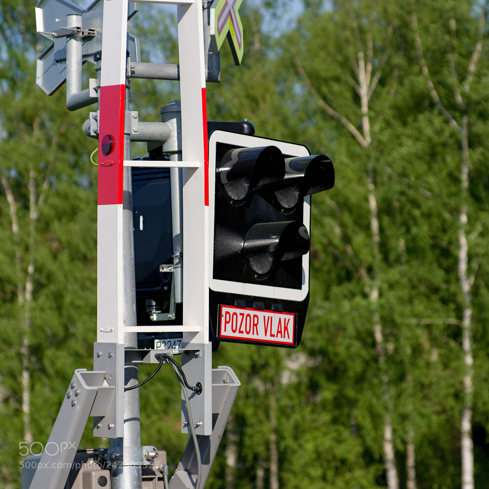 Pentax K-3 sample photo. Crossing photography