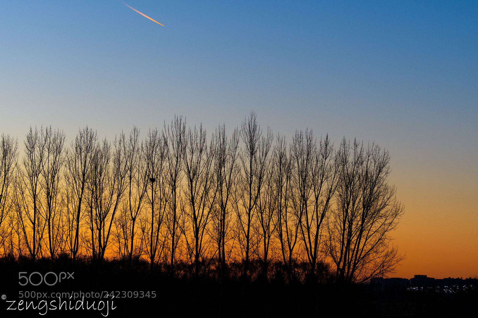 Nikon D500 sample photo. Morning photography