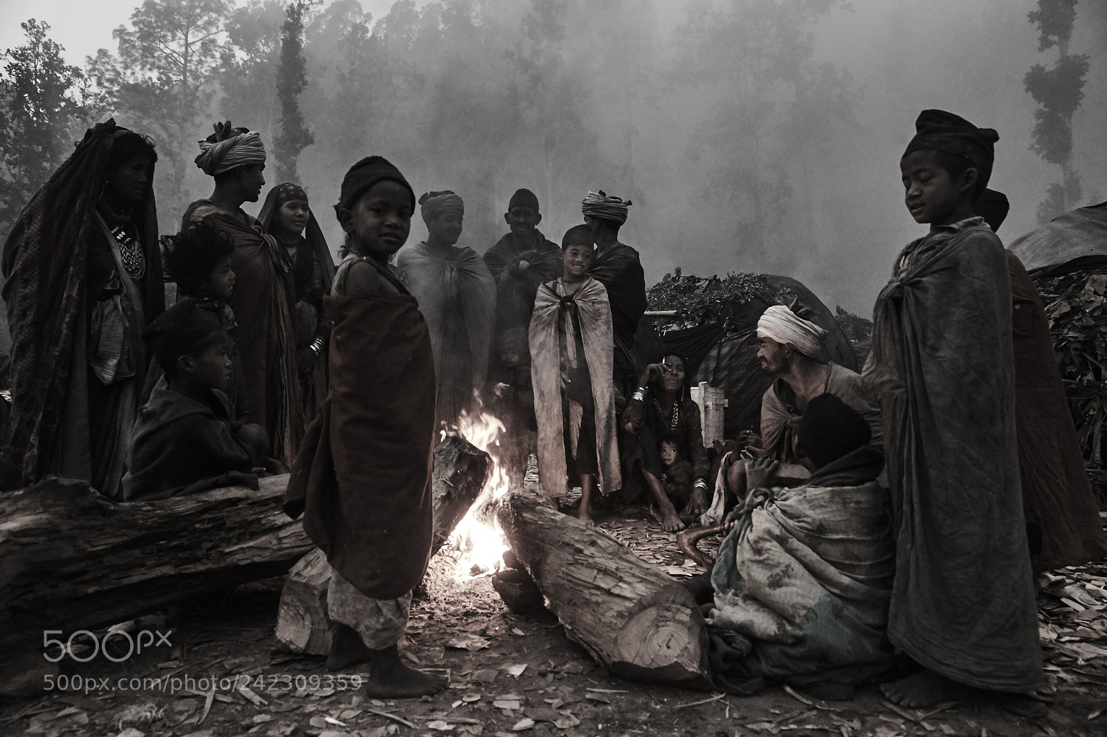 Canon EOS-1D X sample photo. The kings of forest photography